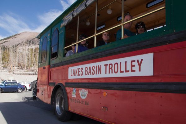 Easy Transportation around town picks up just out-front the Treehouse