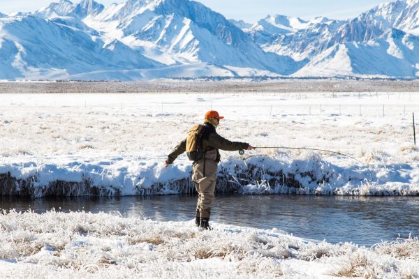 Some of the Best Fishing is the US just outside Mammoth Town